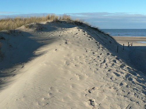 Rostock Warnemünde
Dune partly without vegetation<br /> 
Küste - Strand, Tourismus, Öffentlicher Bereich/Strand, Küstenschutz
Nardine Stybel 